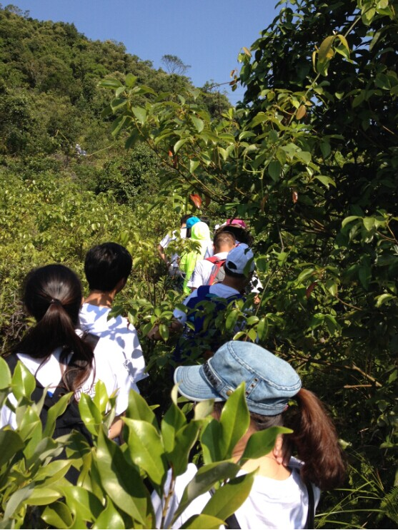 “心港湾、新征途”－尊龙官方马峦山徒步活动-